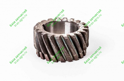Шестерня распределения ведущая (z=20) Д30-1006285-А2