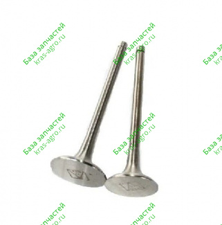 Клапан впускной/выпускной Евро комплект 2 шт. 7406.1007010/015