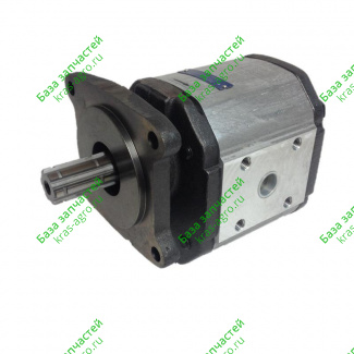 Насос Q-51B-B1D4-SS08S08-V.033 (ЧЕХИЯ) реверсивный 