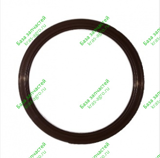 Сальник 100х130х13 (передний, коленвала) WP12 SHAANXI, SHACMAN 612630010106